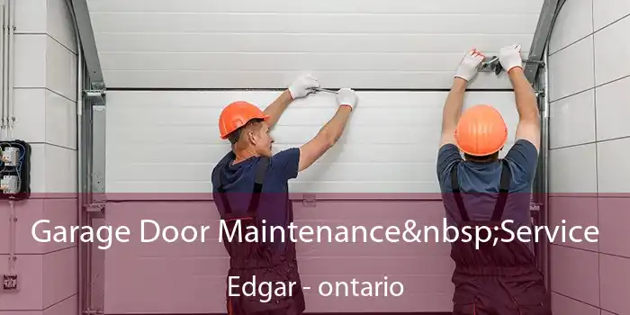 Garage Door Maintenance Service Edgar - ontario