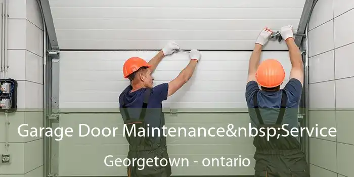 Garage Door Maintenance Service Georgetown - ontario