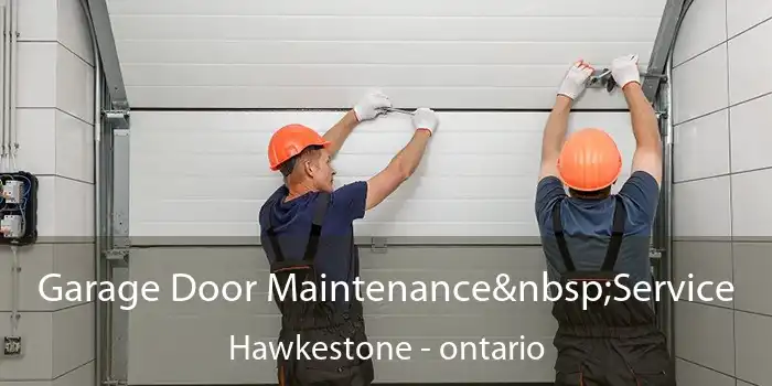 Garage Door Maintenance Service Hawkestone - ontario
