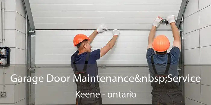 Garage Door Maintenance Service Keene - ontario