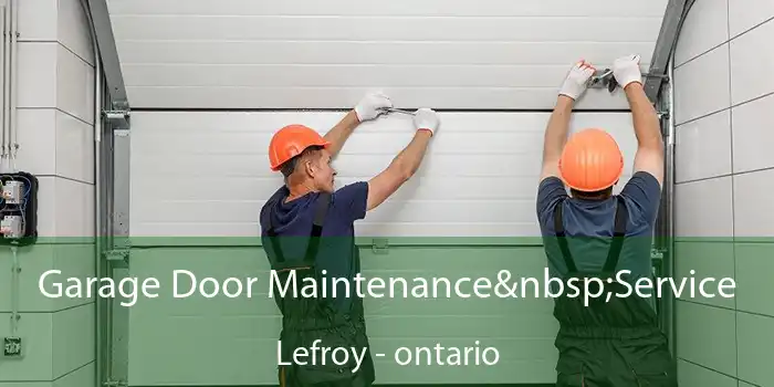 Garage Door Maintenance Service Lefroy - ontario