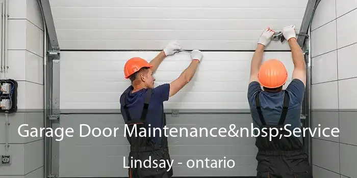 Garage Door Maintenance Service Lindsay - ontario