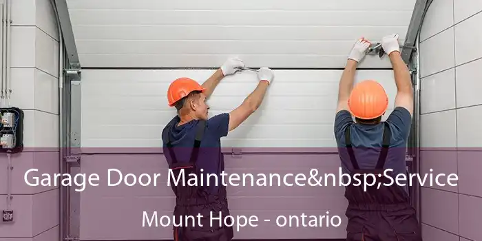 Garage Door Maintenance&nbsp;Service Mount Hope - ontario