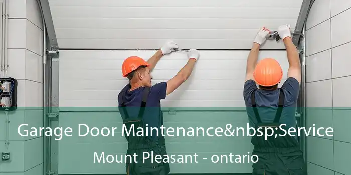 Garage Door Maintenance Service Mount Pleasant - ontario