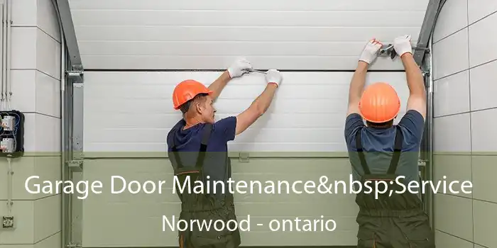 Garage Door Maintenance Service Norwood - ontario