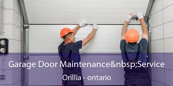 Garage Door Maintenance Service Orillia - ontario