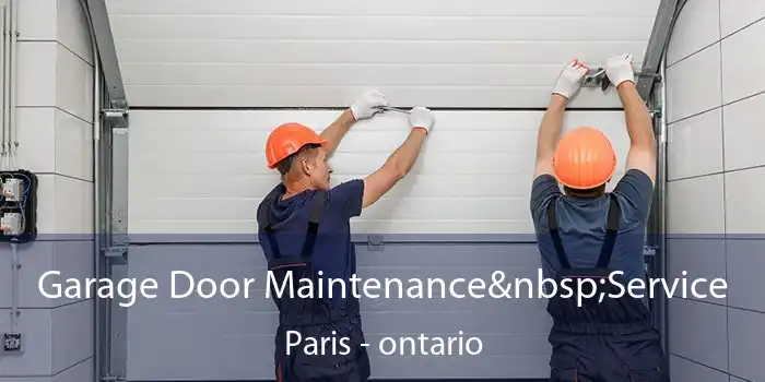 Garage Door Maintenance Service Paris - ontario