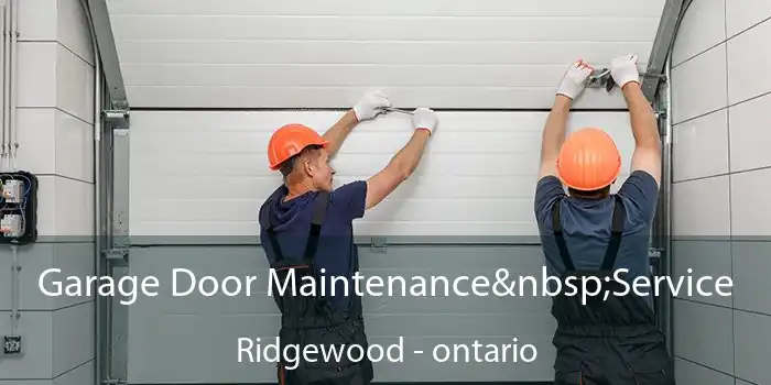 Garage Door Maintenance Service Ridgewood - ontario