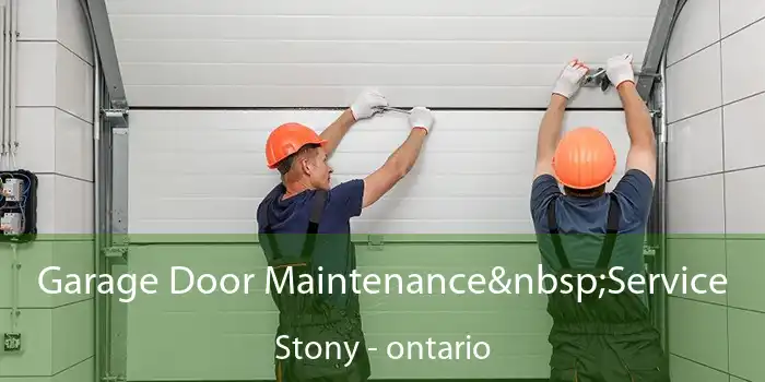 Garage Door Maintenance Service Stony - ontario