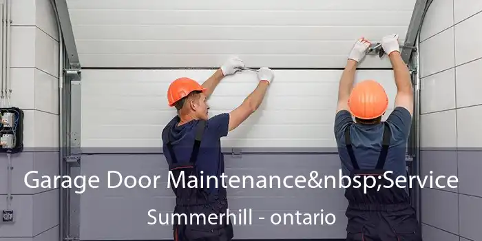 Garage Door Maintenance Service Summerhill - ontario