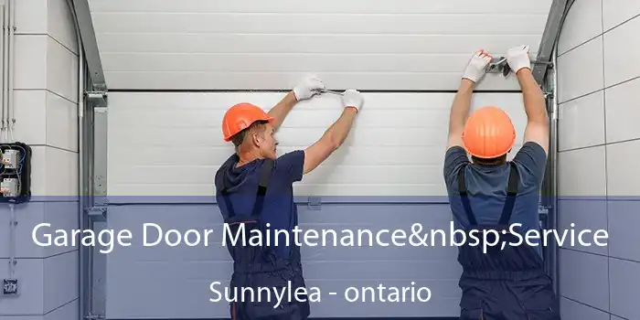 Garage Door Maintenance Service Sunnylea - ontario