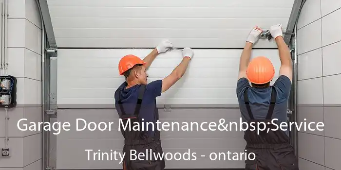 Garage Door Maintenance Service Trinity Bellwoods - ontario