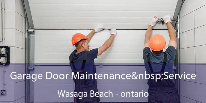 Garage Door Maintenance Service Wasaga Beach - ontario