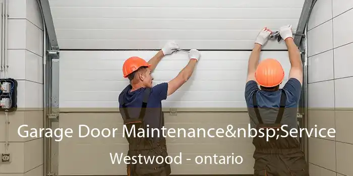 Garage Door Maintenance Service Westwood - ontario