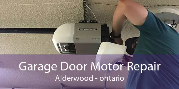 Garage Door Motor Repair Alderwood - ontario