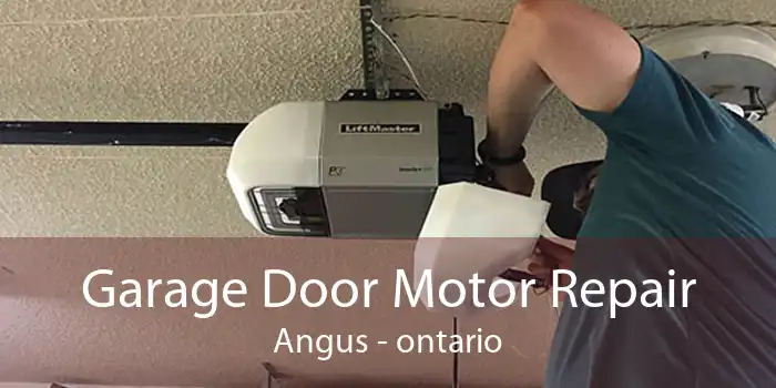 Garage Door Motor Repair Angus - ontario