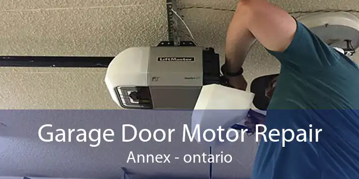 Garage Door Motor Repair Annex - ontario