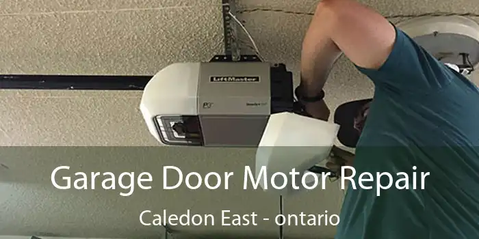 Garage Door Motor Repair Caledon East - ontario