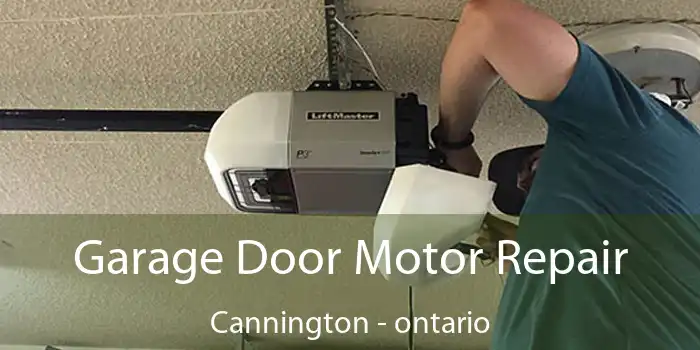 Garage Door Motor Repair Cannington - ontario