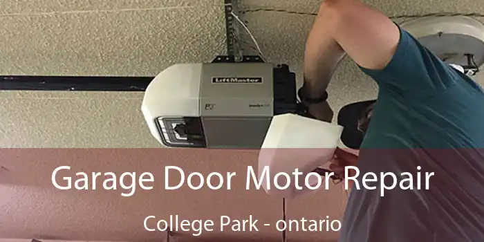 Garage Door Motor Repair College Park - ontario