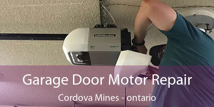 Garage Door Motor Repair Cordova Mines - ontario