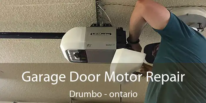 Garage Door Motor Repair Drumbo - ontario
