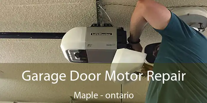 Garage Door Motor Repair Maple - ontario
