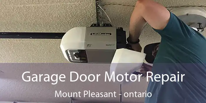 Garage Door Motor Repair Mount Pleasant - ontario