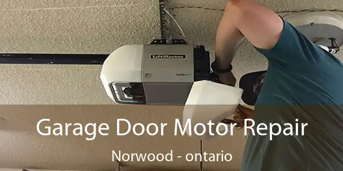 Garage Door Motor Repair Norwood - ontario