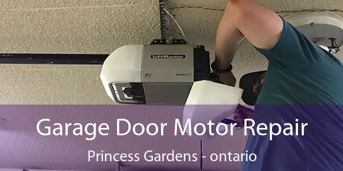 Garage Door Motor Repair Princess Gardens - ontario