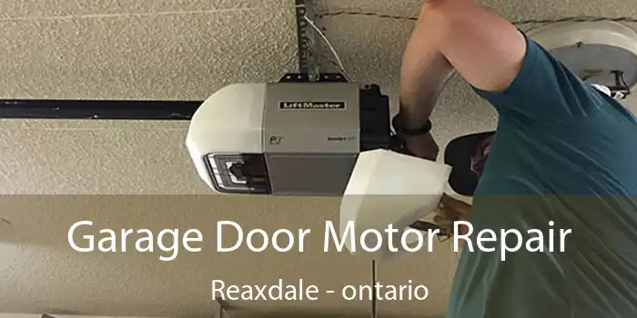 Garage Door Motor Repair Reaxdale - ontario