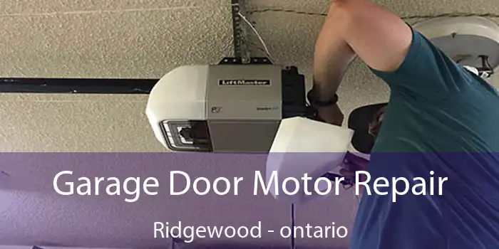 Garage Door Motor Repair Ridgewood - ontario