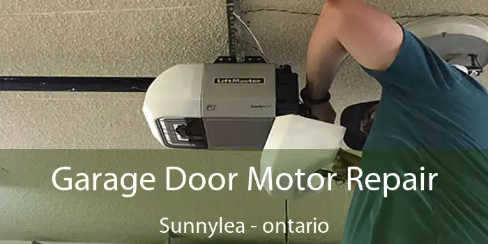 Garage Door Motor Repair Sunnylea - ontario