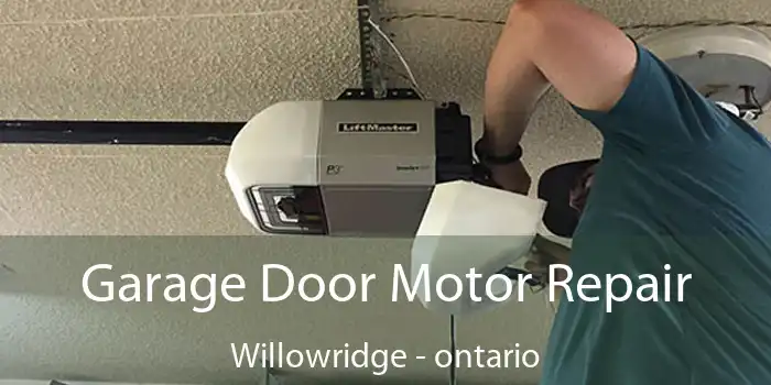 Garage Door Motor Repair Willowridge - ontario