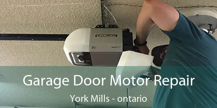 Garage Door Motor Repair York Mills - ontario