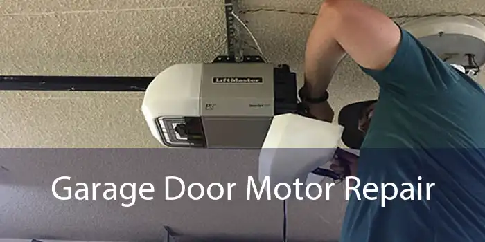 Garage Door Motor Repair 
