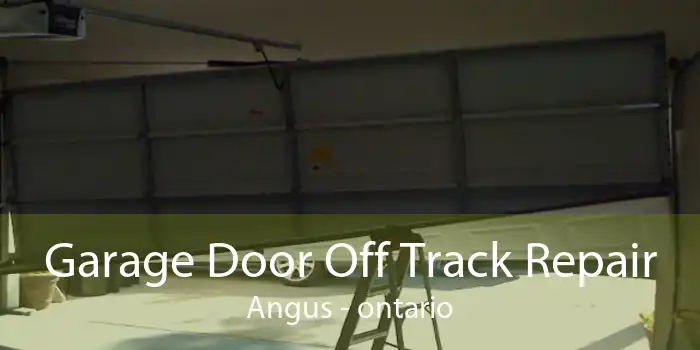 Garage Door Off Track Repair Angus - ontario