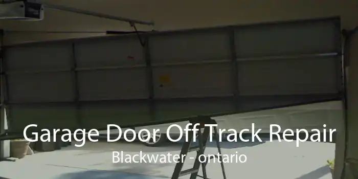 Garage Door Off Track Repair Blackwater - ontario
