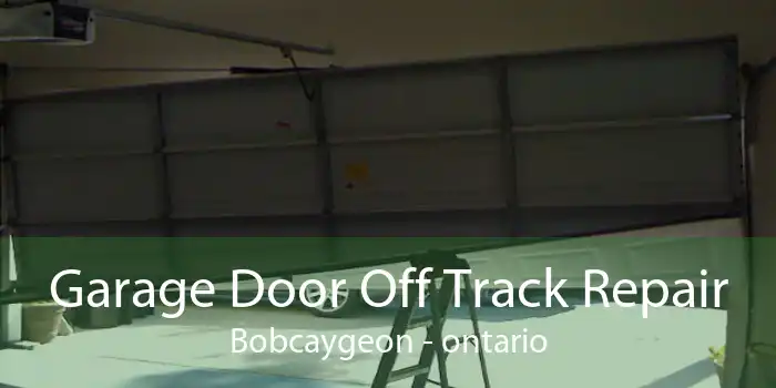 Garage Door Off Track Repair Bobcaygeon - ontario