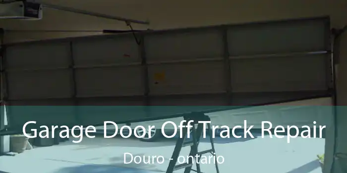 Garage Door Off Track Repair Douro - ontario