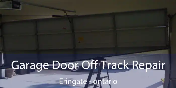 Garage Door Off Track Repair Eringate - ontario
