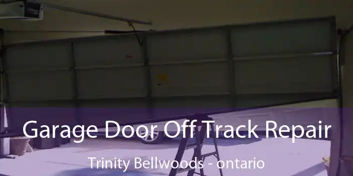 Garage Door Off Track Repair Trinity Bellwoods - ontario