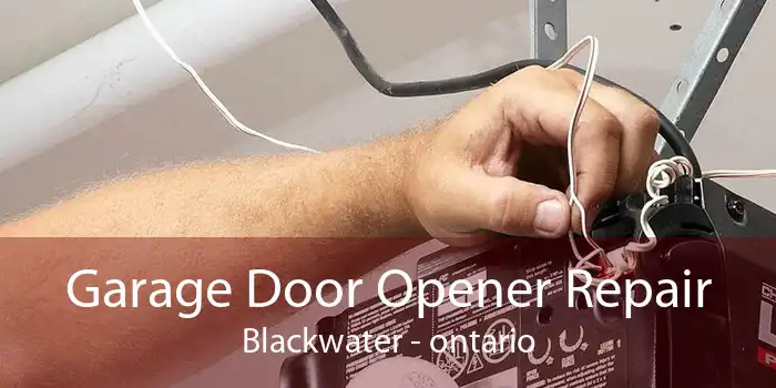 Garage Door Opener Repair Blackwater - ontario