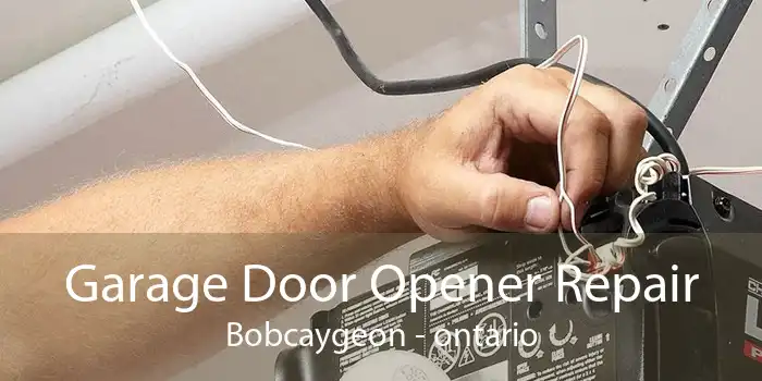 Garage Door Opener Repair Bobcaygeon - ontario
