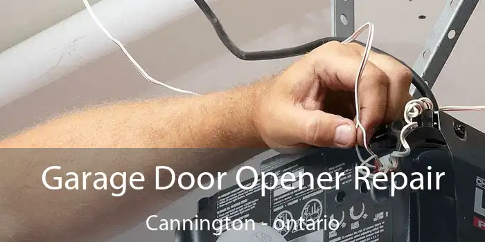 Garage Door Opener Repair Cannington - ontario