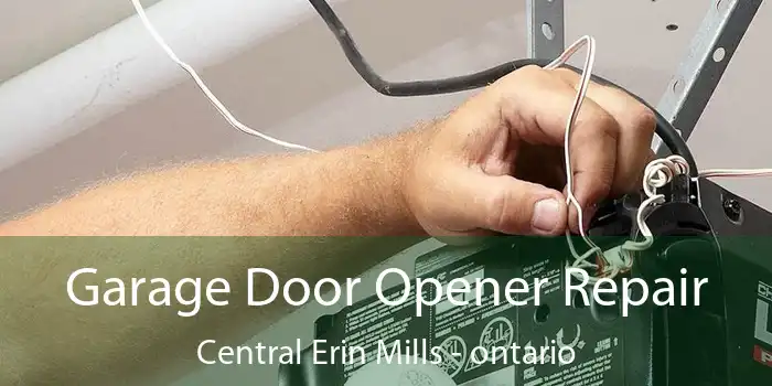 Garage Door Opener Repair Central Erin Mills - ontario