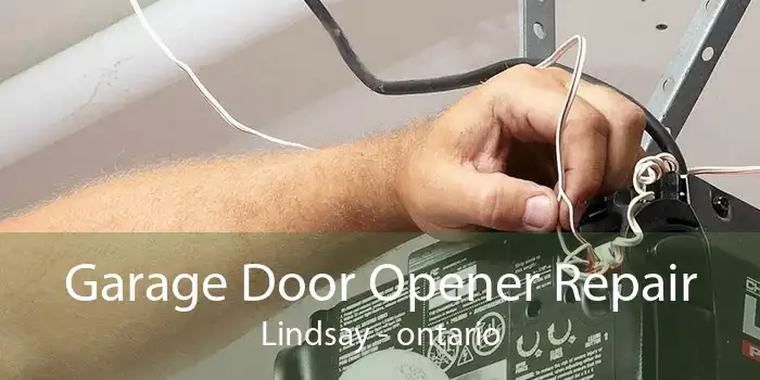 Garage Door Opener Repair Lindsay - ontario