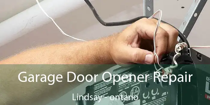 Garage Door Opener Repair Lindsay - ontario