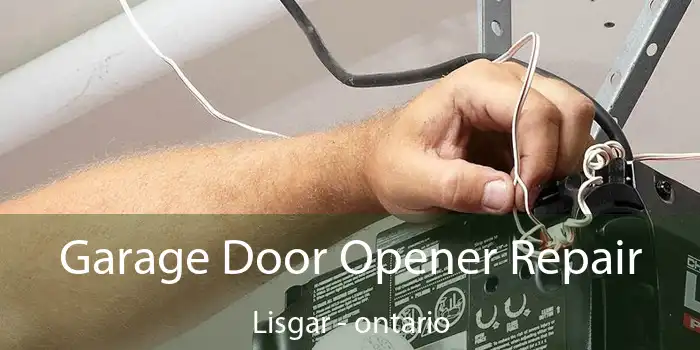 Garage Door Opener Repair Lisgar - ontario