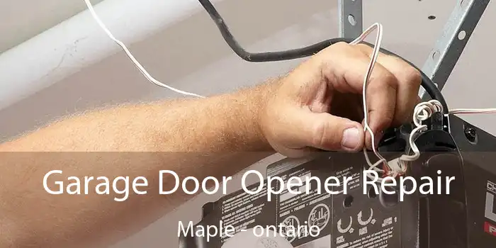 Garage Door Opener Repair Maple - ontario